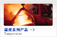 溫度系列儀表